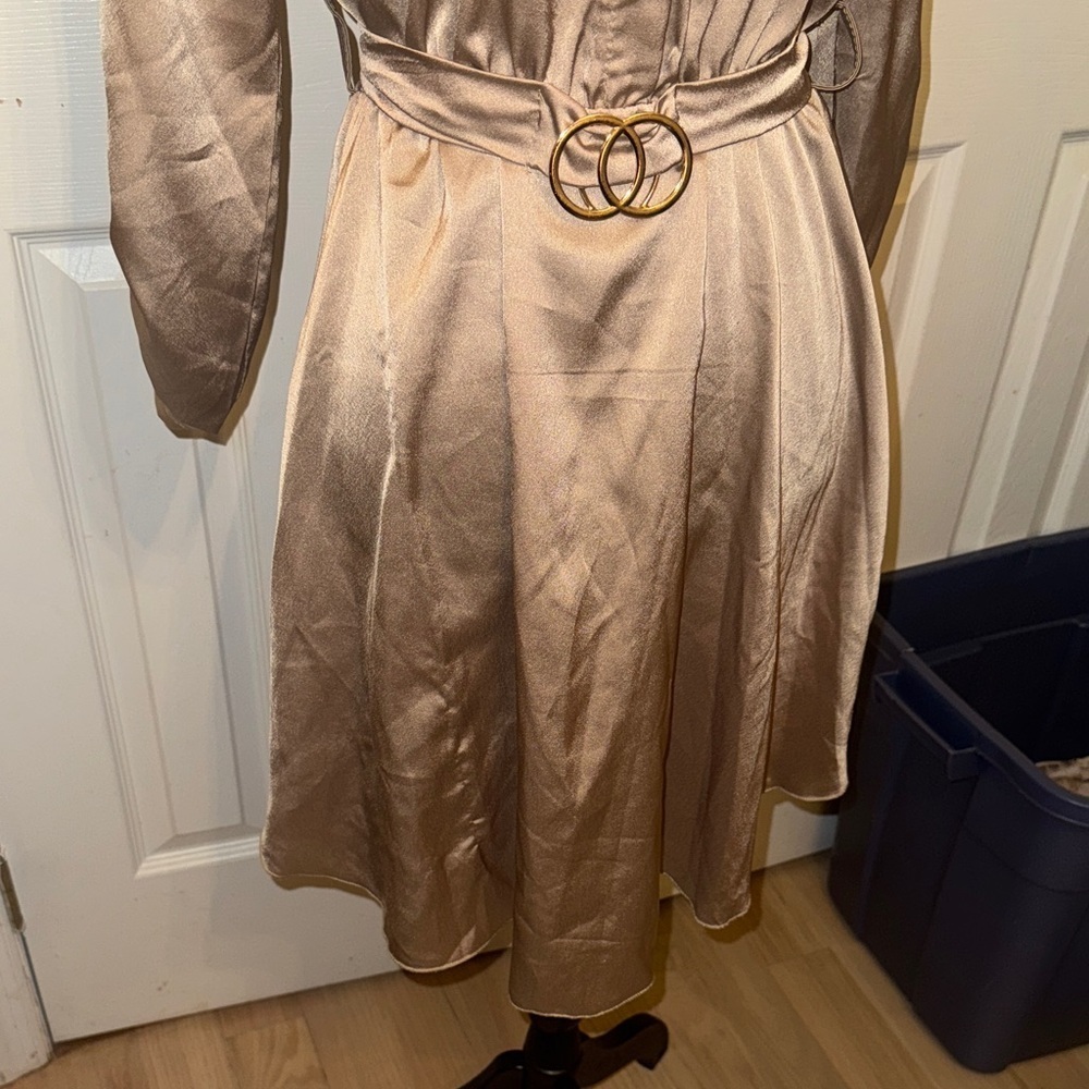 Elegant Satin Gold Dress - Picture 3 of 16